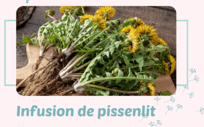 Infusion de Pissenlit