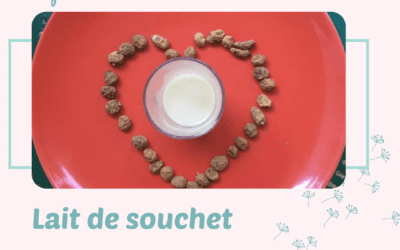 Lait végétal pour bébés (et adultes): Le souchet