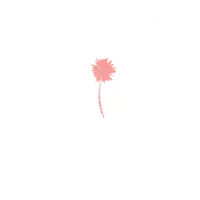 vitalité coaching